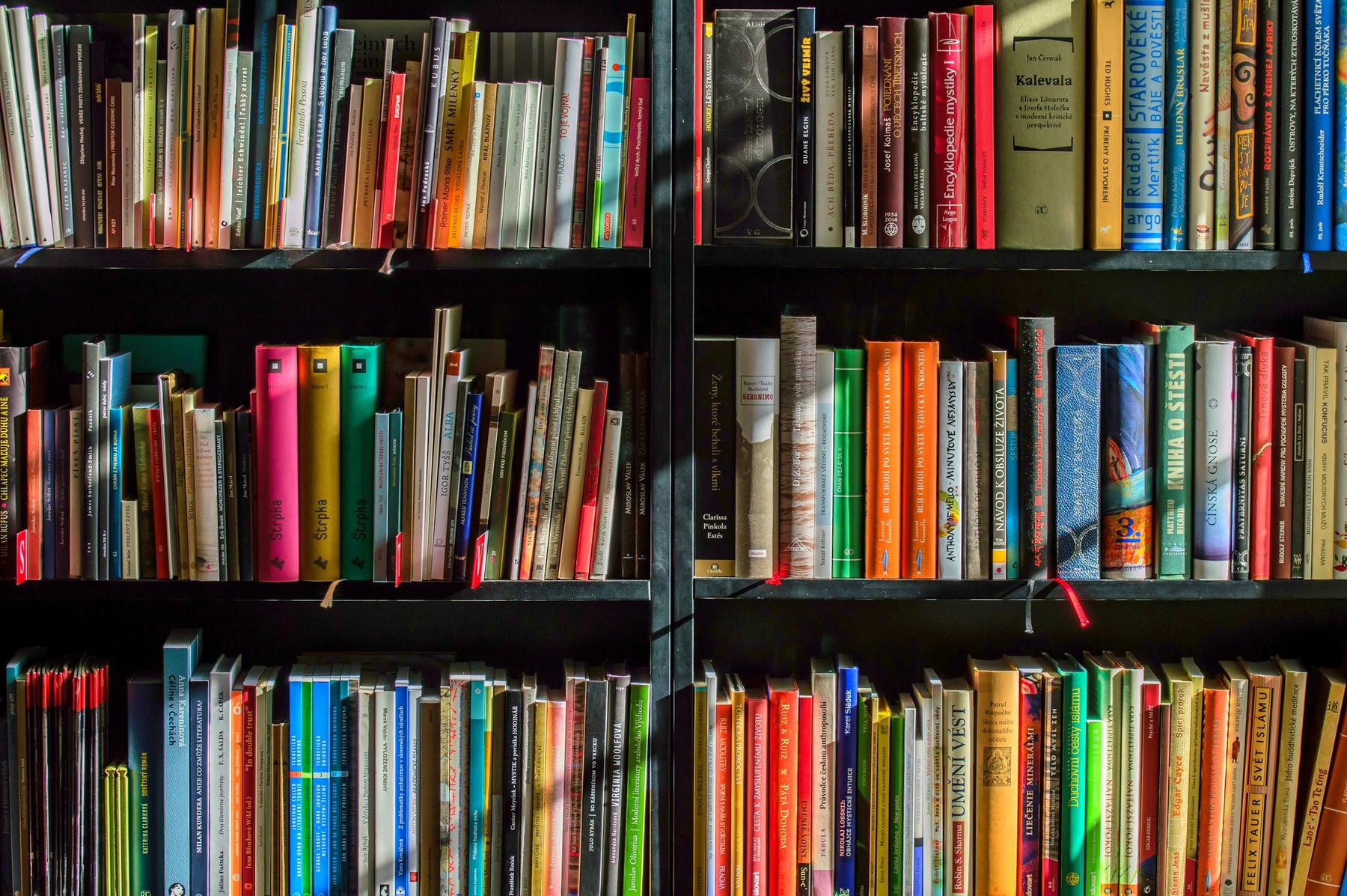 NB Lounge books